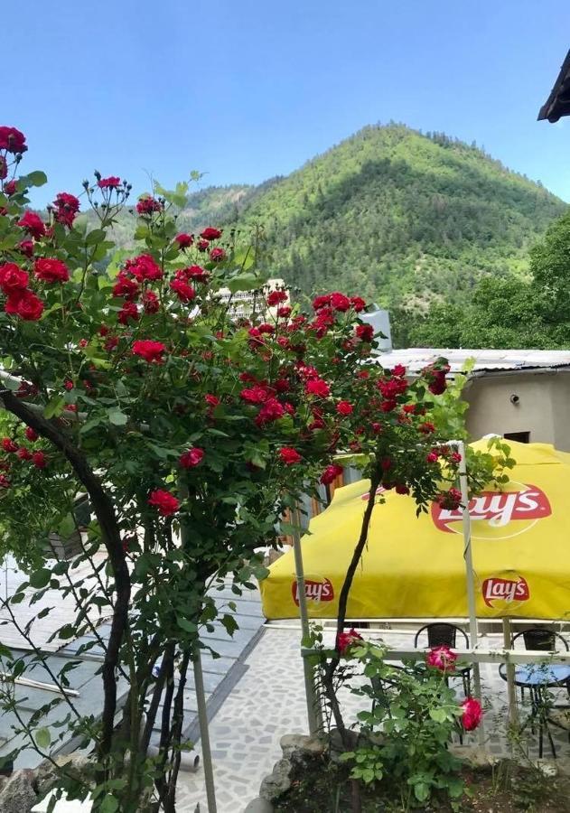 Borjomi Apartments Apart Hotel Extérieur photo